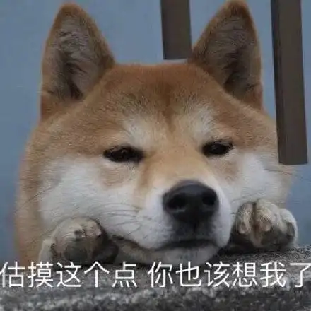 真人表情包搞笑单身汪