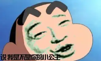 表情与斗图28蜡笔小新表情包