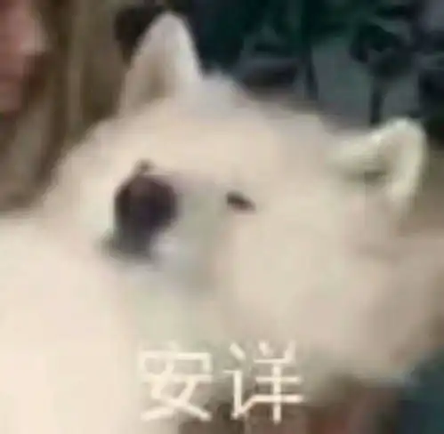 你手机里用了超久的表情包是怎样的