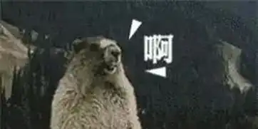 因为人类的猎杀这种曾席卷全球的瘟疫如今再入人间