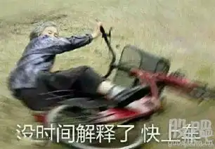 两周年报看在12元是不是有点高