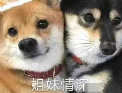 夺笋呐这些话伤害性不强,侮辱性极大