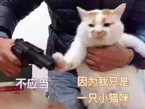 分手被爆出轨坑队友,她不堪重负割腕自杀这带血的瓜真吃不下啊
