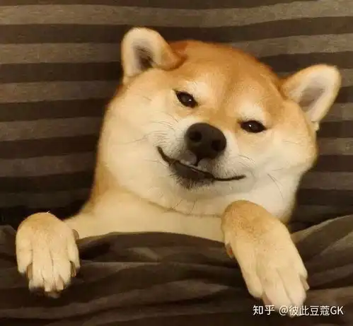 kai金钟仁和jennie能走多长时间
