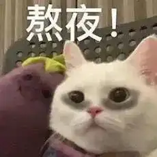 猫咪表情包宝,你实在过分冷漠,泪已打湿我的世界