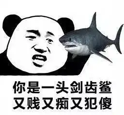 原来你是一个豆沙包