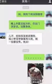 凌晨三点,我被爸妈踢出群聊杨迪