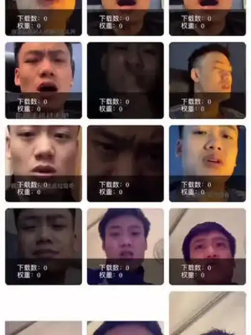 搜索进入之后搜索框输入即可下载我全部表情包和原视频