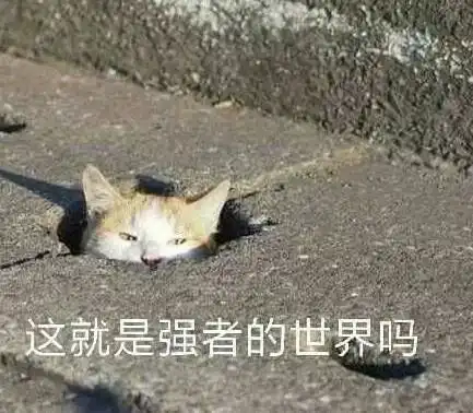 暴露年龄的时间到了,消失在岁月长河里的网红你认识多少