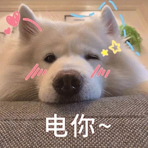 沙雕表情包今年过节不收礼,收礼只收男朋友
