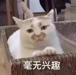 酸哭了这个sm男idol从头到脚都完美简直理想男友