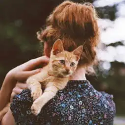 男生抱猫咪头像图片抱着