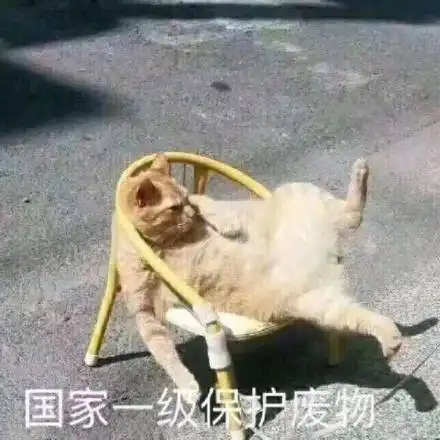 猫猫头表情包蜡笔小新