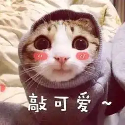 小到只能装可爱的迷你包,我做梦都想买