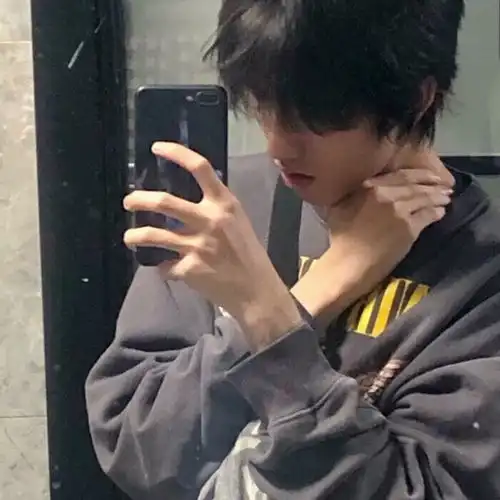 海鸥如果不眷恋大海,也许它能飞男生头像我要个性网