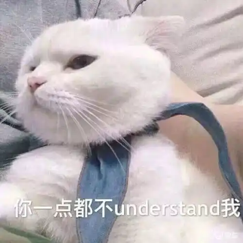你是钢铁直男表情包猫咪
