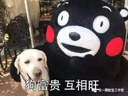 天一阁祝大家新年快乐一起来唠唠你的新年愿望吧