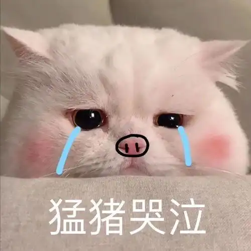 谷雨仙人掌系列水乳好用吗,用起来是什么感觉呢,会不会黏糊糊的