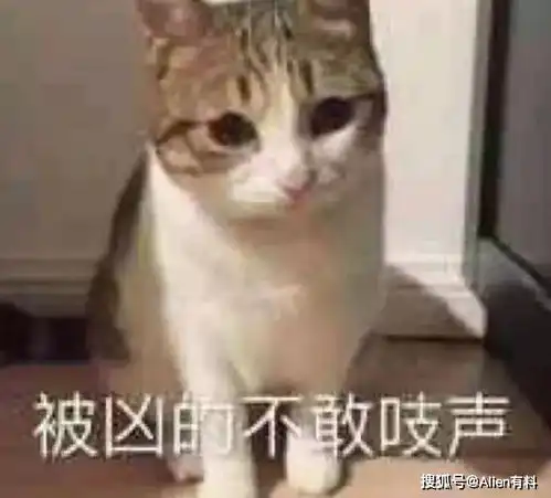 我没骂你,我骂介绍人呢