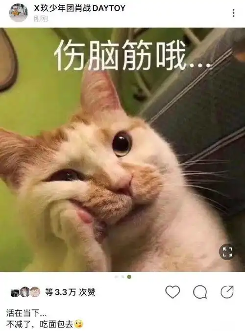 减肥中的肖战发活在当下,再次使用沙雕表情包,暗示近期心态