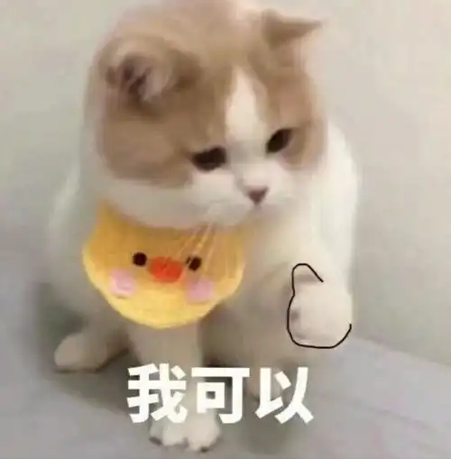 小仙女专用可爱表情包,直男不配使用这么可爱的表情包