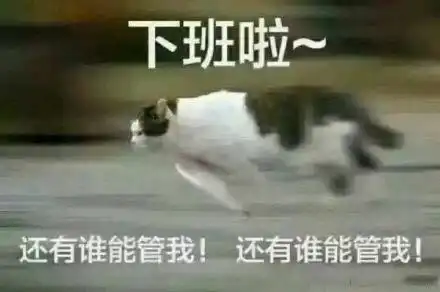 盘点那些搞笑又沙雕高端的瞬间我笑岔气了