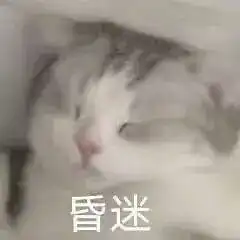 因为泡泡茶,我今天经历了社会性死亡