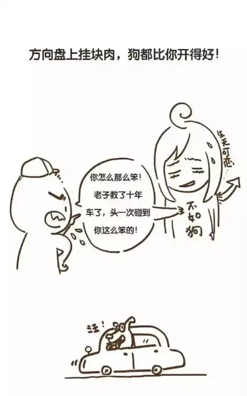 据说,每一个驾校教练都是顶尖段子手