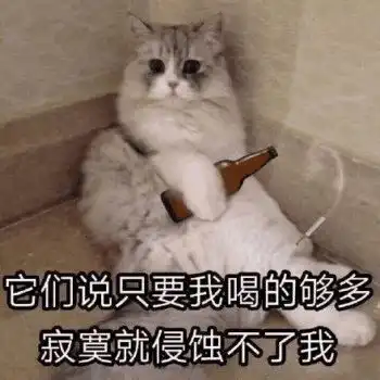 在南商,舍友恋爱前vs恋爱后
