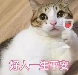 全新猫咪表情包,拿走不谢