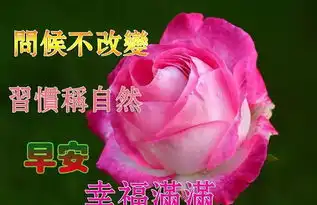2019最新版早上好表情图片动态特别漂亮早上好问候语图片带字