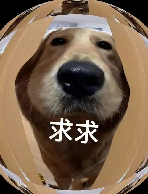 哄对象专用表情包老婆开门呀