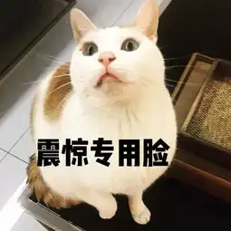 开妓院监狱情趣用品精神病院那些奇葩的上市公司大盘点