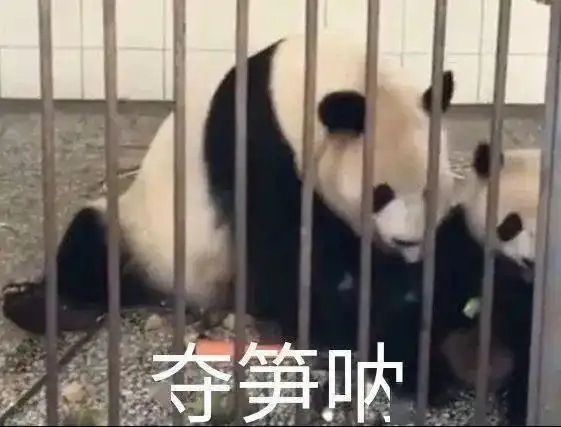 笋不笋呐夺笋啊表情包
