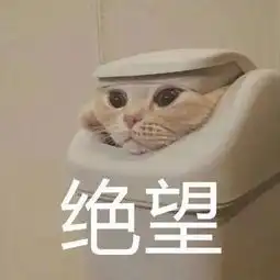 创新智慧挑战杯优秀项目分享