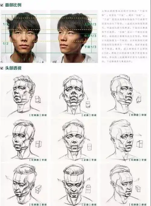 哔哩哔哩专栏