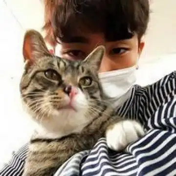 猫咪头像男生代表什么头