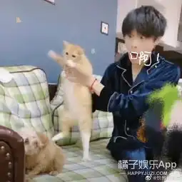 上个厕所回来他涨了5万粉