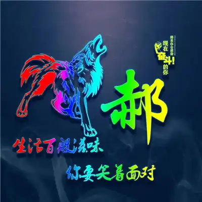 霸气姓氏头像,霸气炫彩狼头像非常的励志