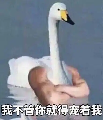 美