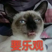 暹罗猫表情包