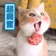 马上开播湛报小姐姐在线带你逛书香节