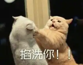 易烊千玺猫式掐架图集喵系男孩可爱来袭