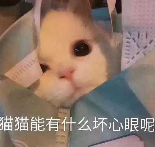 特教老师能有什么坏心眼呢他们只是想要得到这些