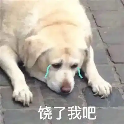 互怼表情包看见男人就烦