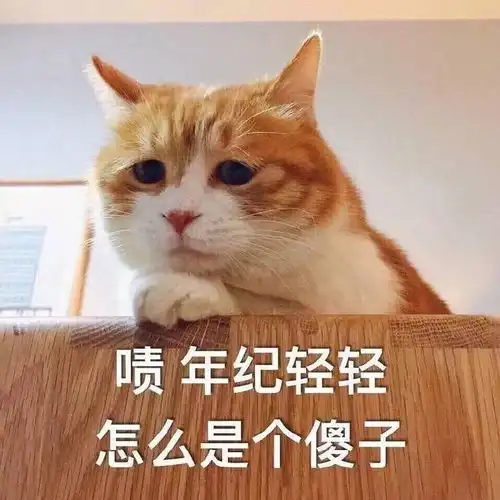 男生用猫猫表情包猫猫