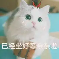 猫咪亲亲的表情包微信头像图片大全