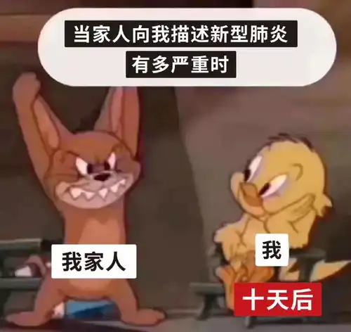 今日份表情包合集