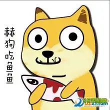 有关鱼的卡通表情包