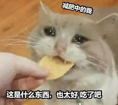 猫猫头表情包干饭
